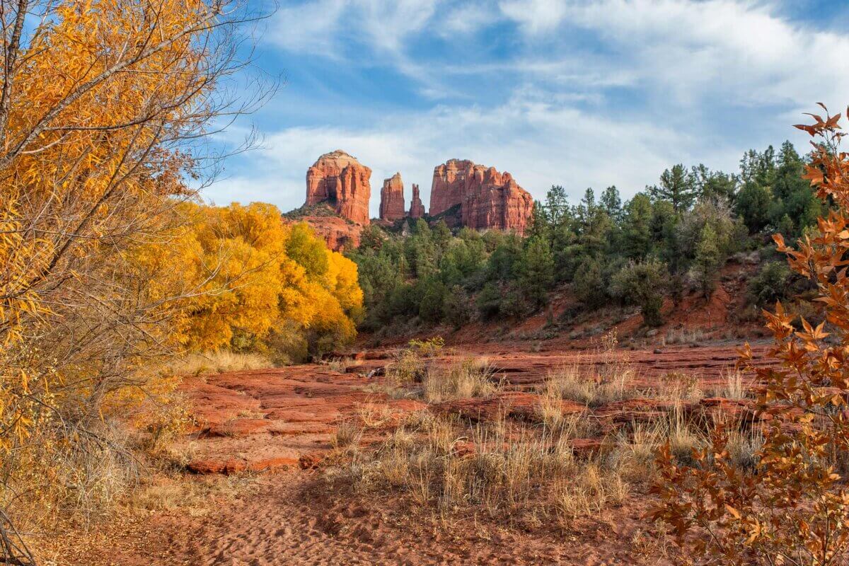 Autumn at Cathedral Rock in Sedona
