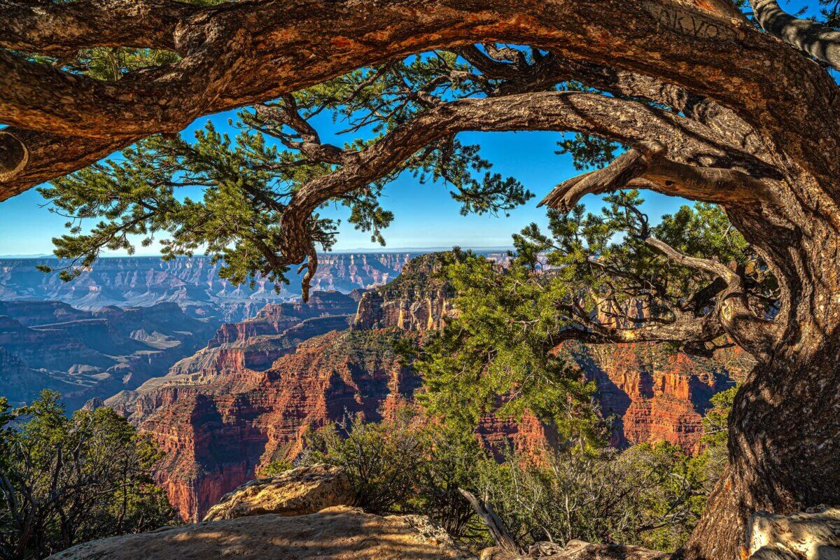 Grand Canyon National Park